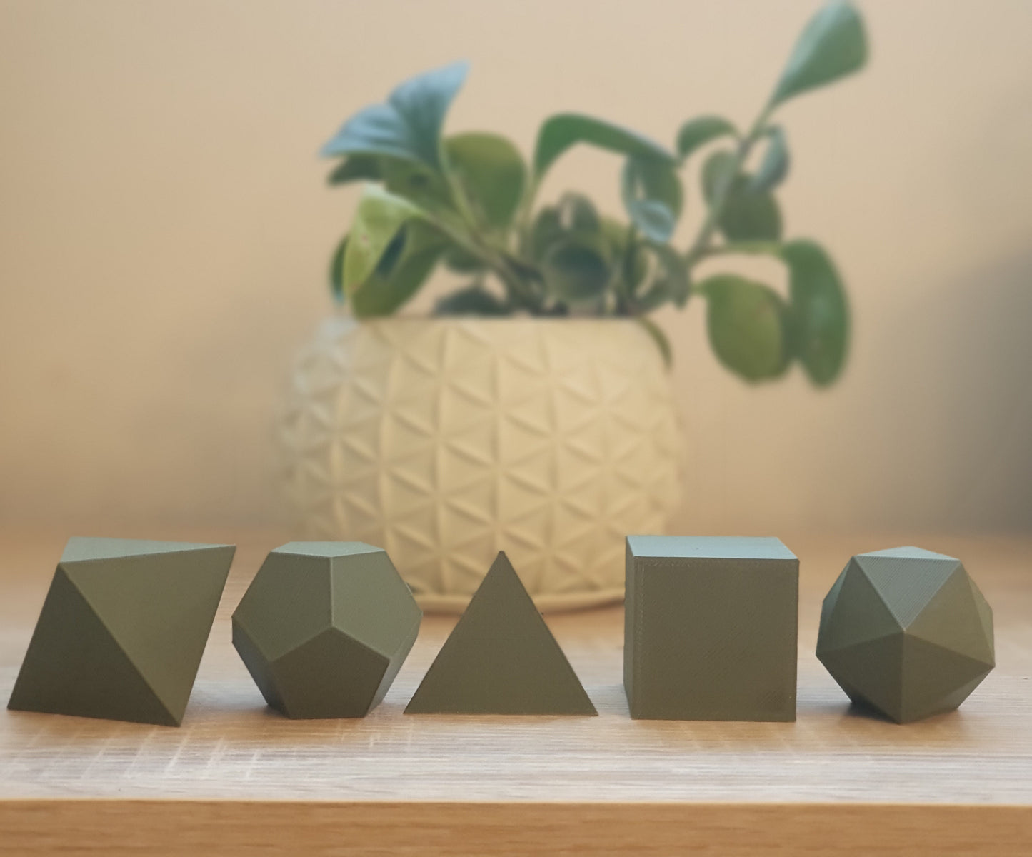 Set Solidos Platónicos 3D